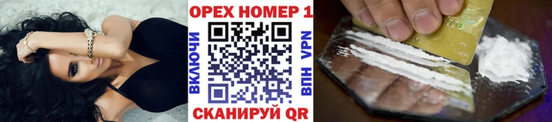 купить   Магас  COCAIN Columbia 