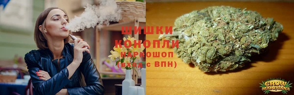 apvp Арсеньев