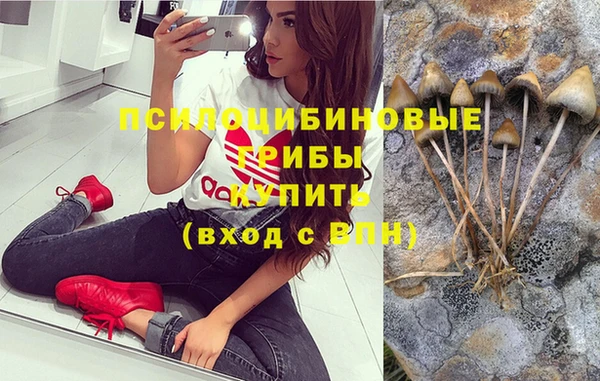 не бодяженный Аркадак
