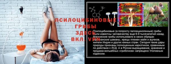 не бодяженный Аркадак
