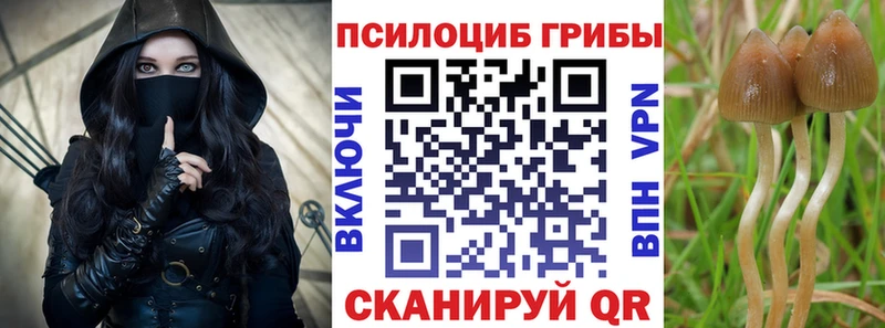 Псилоцибиновые грибы ЛСД Магас