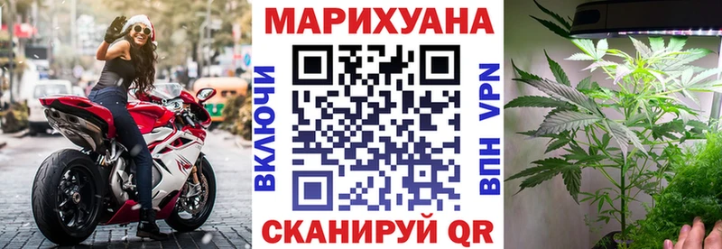 Бошки марихуана планчик  наркота  Магас 