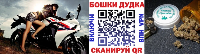Конопля сатива Магас